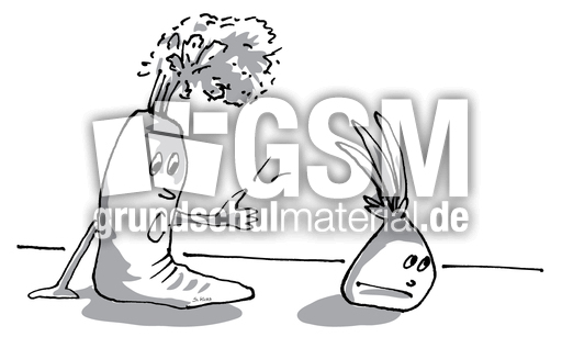 Karotte und Zwiebel 11.jpg